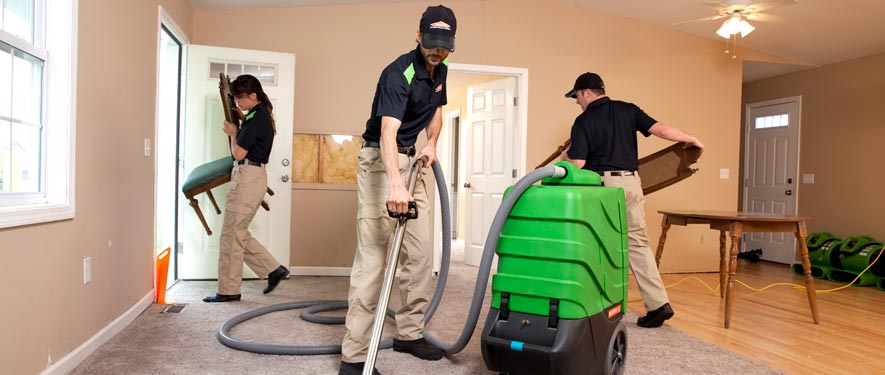 Frankfort, IL cleaning services