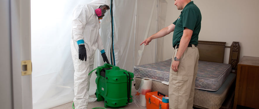 Frankfort, IL mold removal process